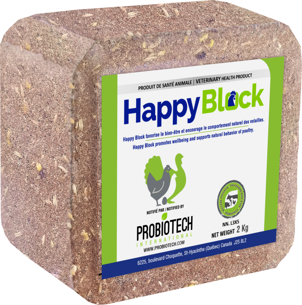 Happy Block 2kg Triple V