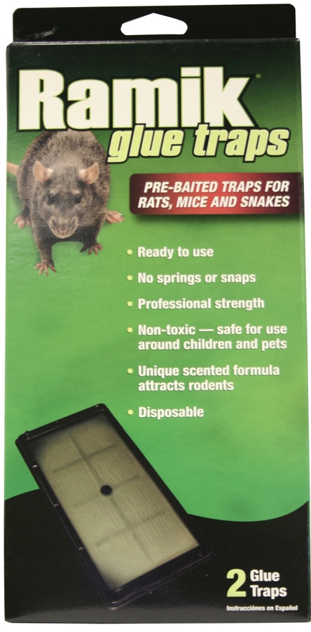 Piège collant Ramik pour rat, emballage de 2 - Triple V